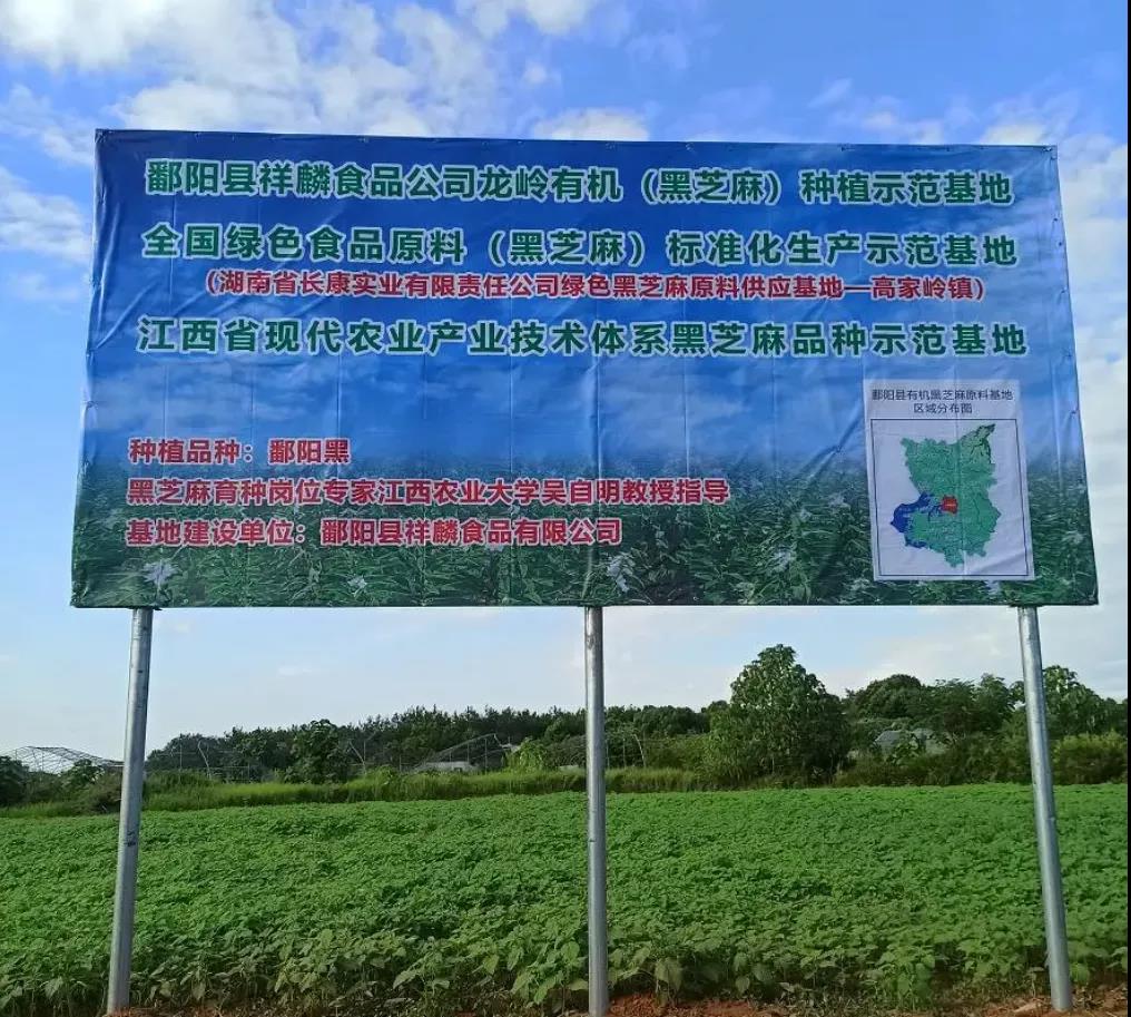三中三资料