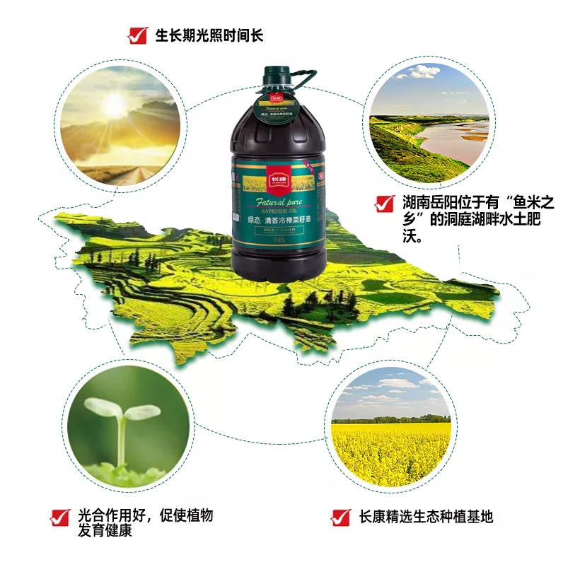 三中三资料