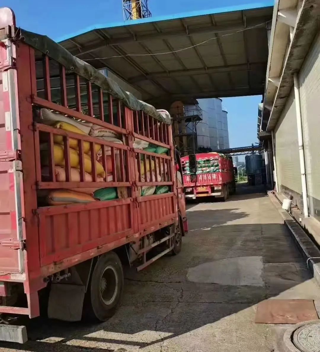 三中三资料