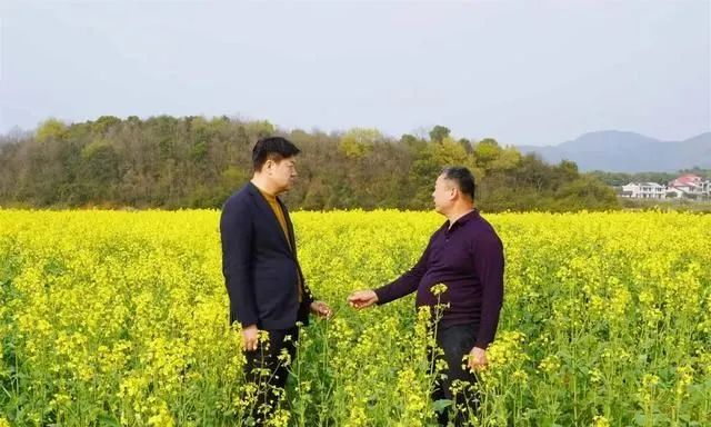 三中三资料