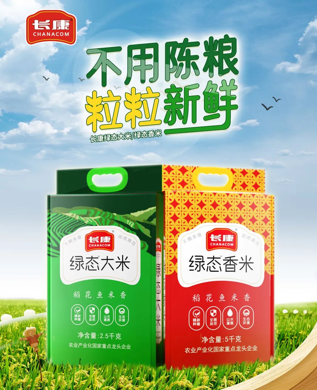 三中三资料