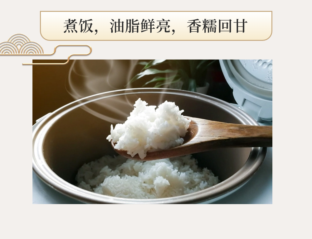 三中三资料