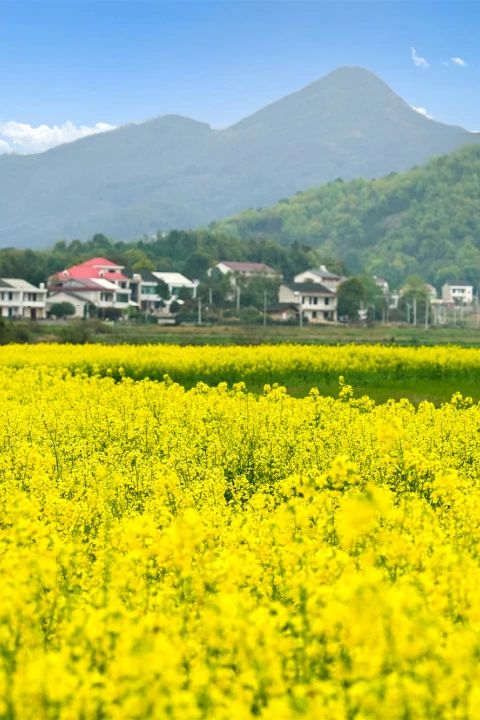 三中三资料