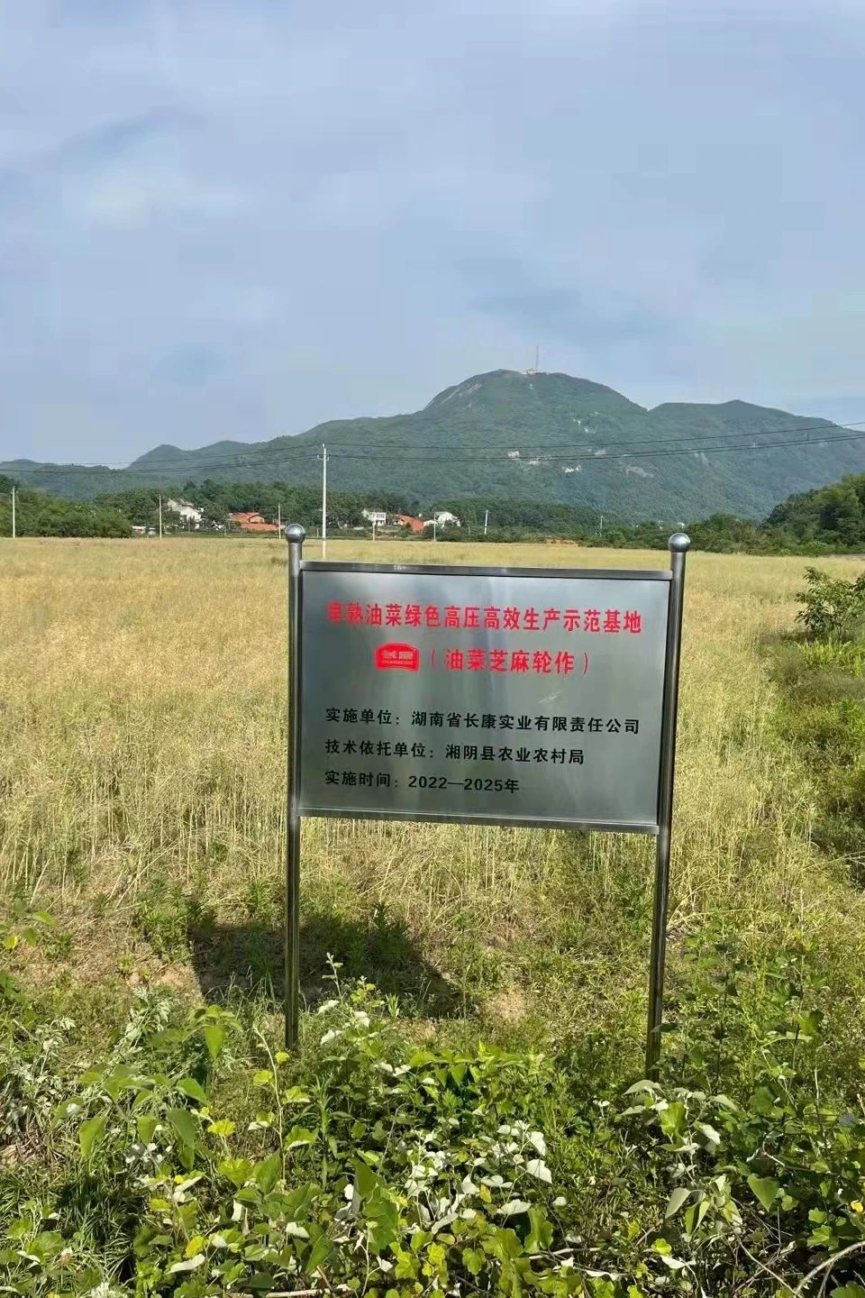 三中三资料