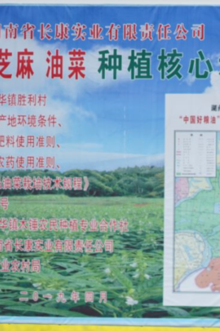 三中三资料