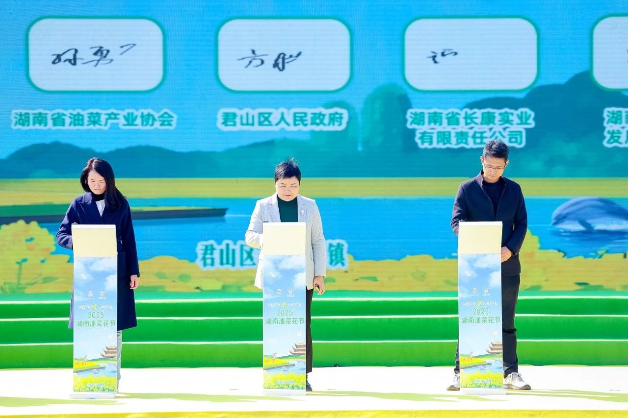 三中三资料