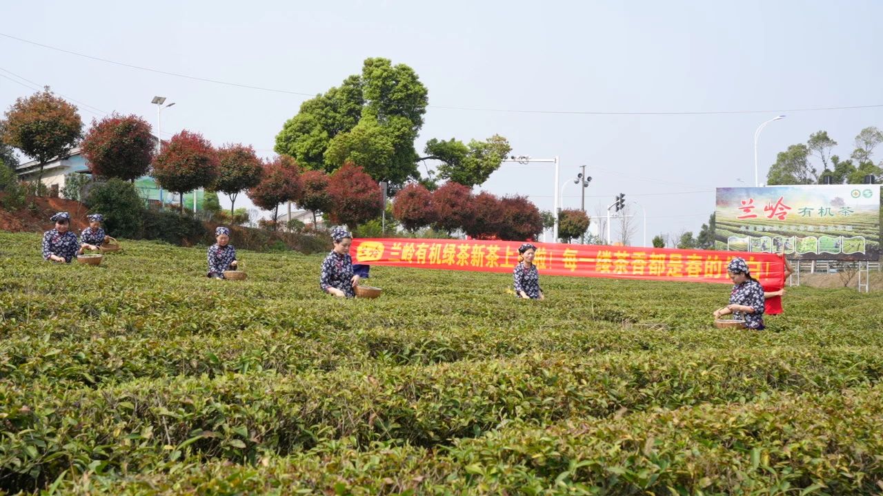 三中三资料