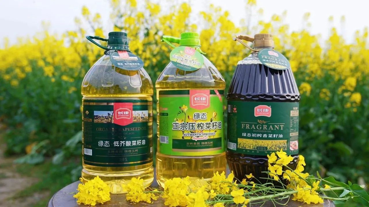 三中三资料