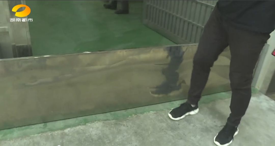 三中三资料